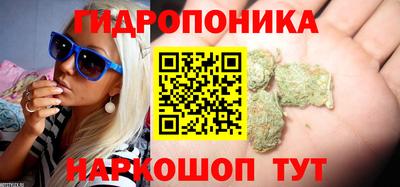 мдпв Рузаевка