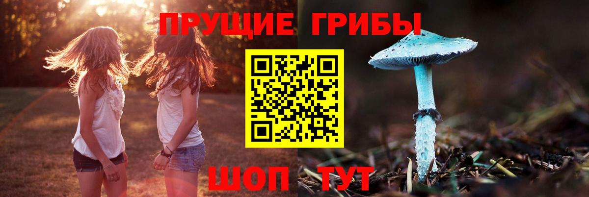 Псилоцибиновые грибы ЛСД  Вход с VPN  Анжеро-Судженск  Псилоцибиновые грибы мицелий 