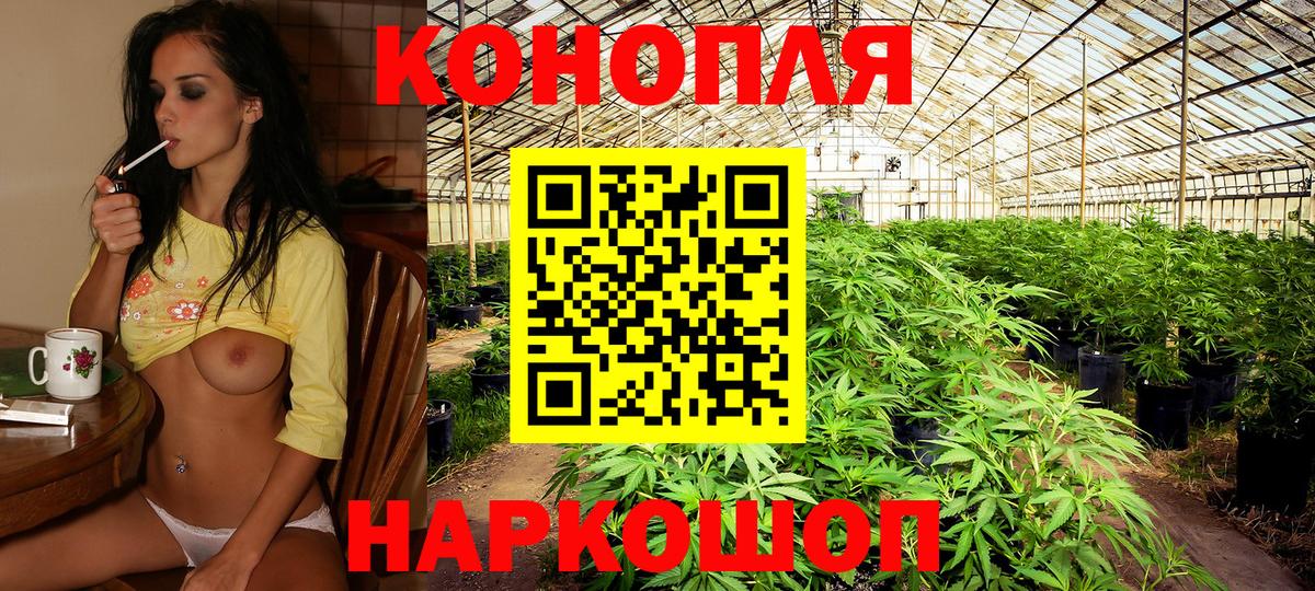 Анжеро-Судженск  МАРИХУАНА OG Kush  Вход с VPN  Конопля SATIVA & INDICA  Бошки марихуана планчик 